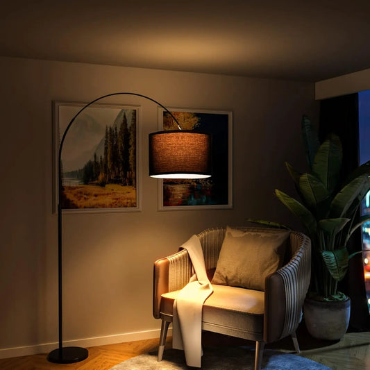 Lampe sur pied Salon Moderne Minimaliste - Design Élancé en Métal